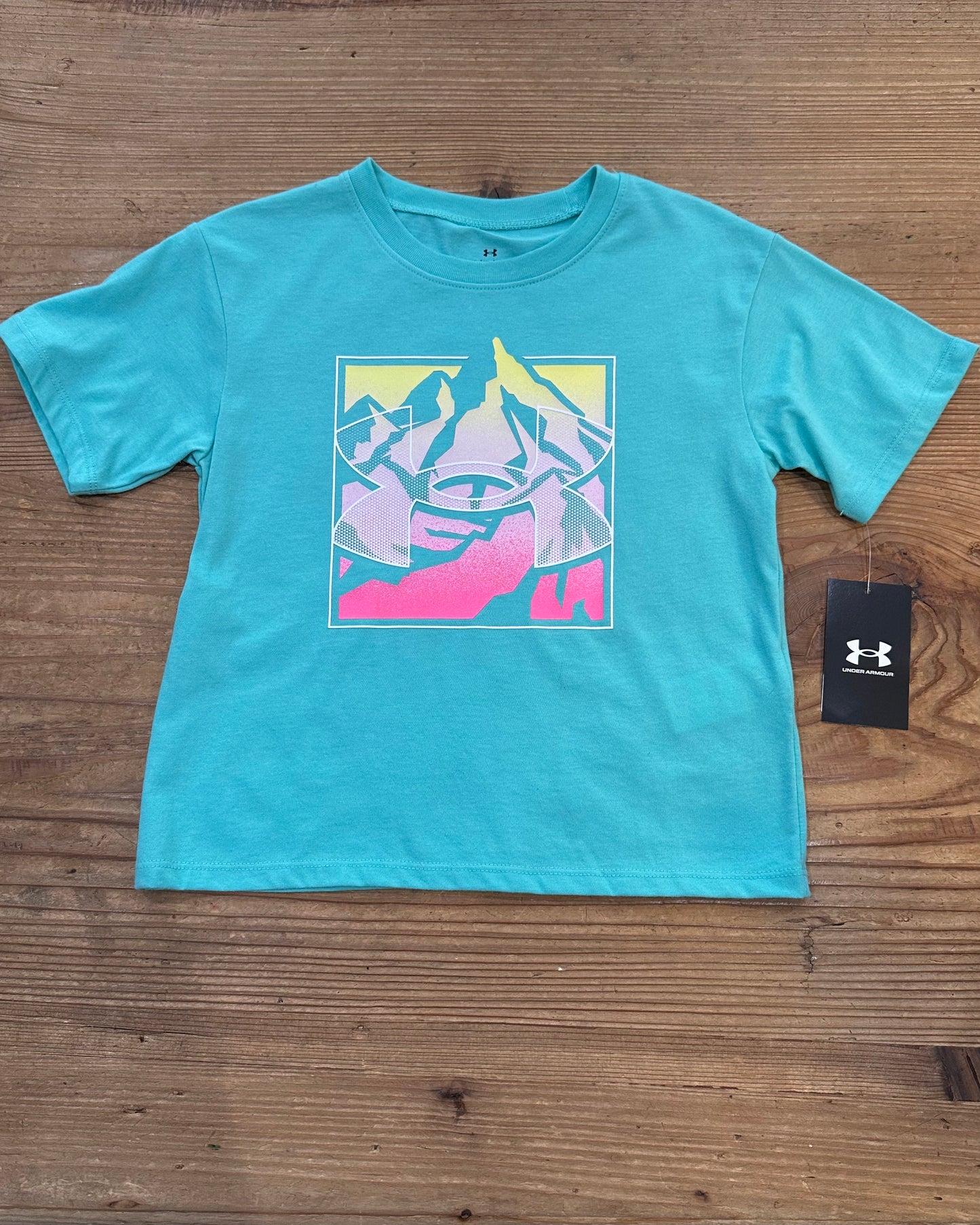 Mountain Tee