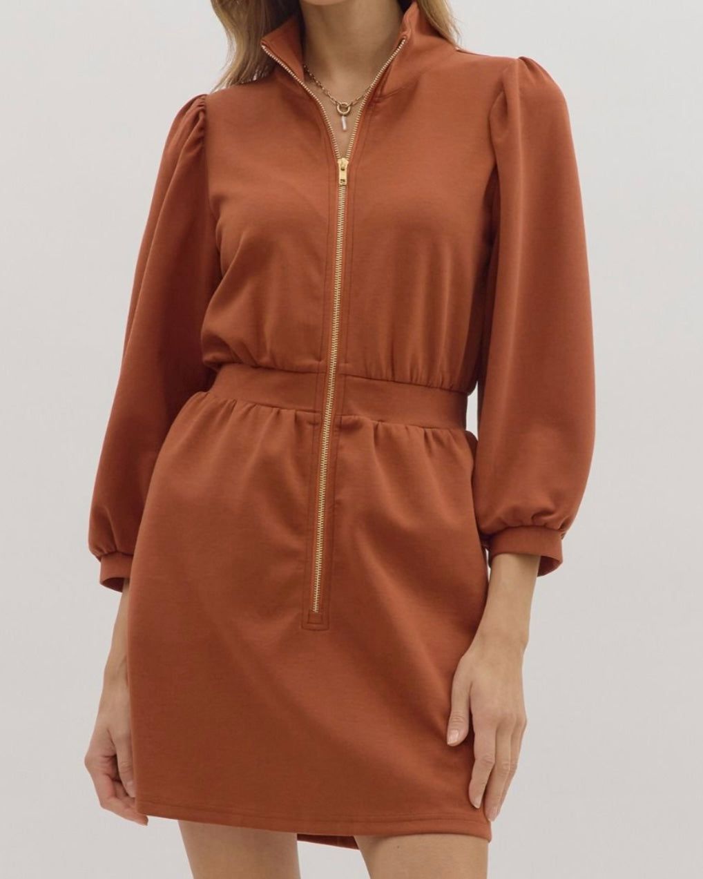 Courtney Rust Zip Dress