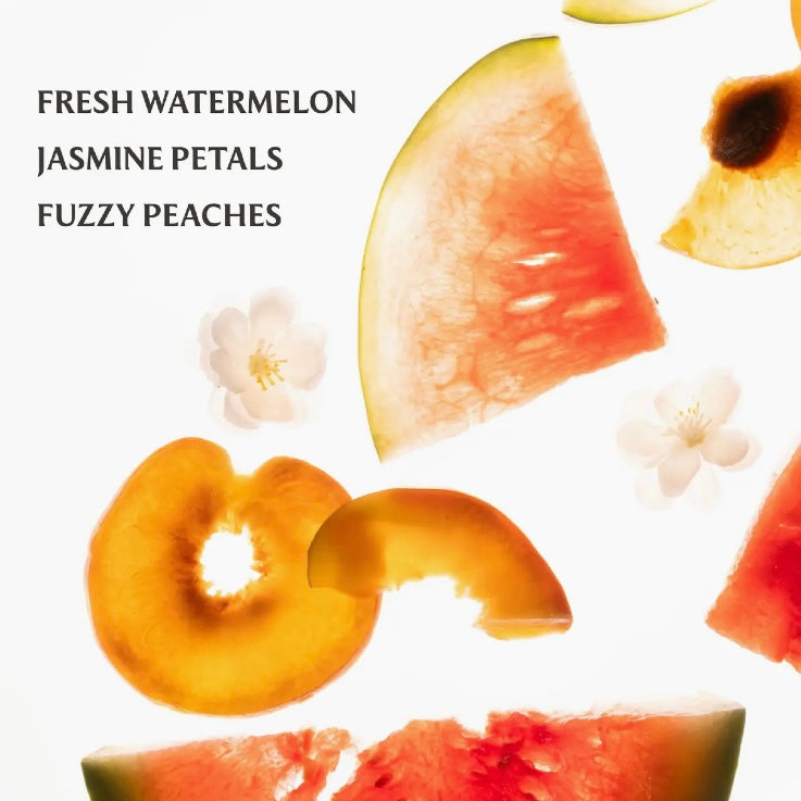 Wild Watermelon Mist Hand Sanitizer - The Swanky Shack